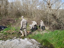 Picture 4
